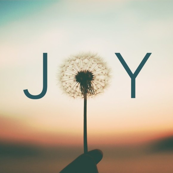 joyluckcloset